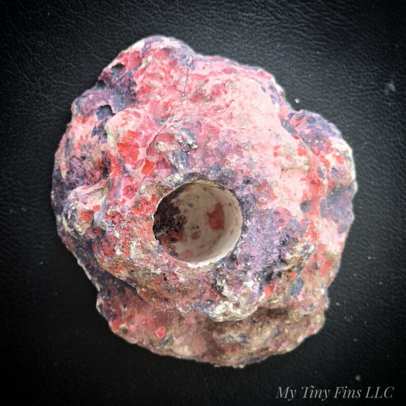 Eco Rock Frag Plug Holder – Natural-Look Frag Display